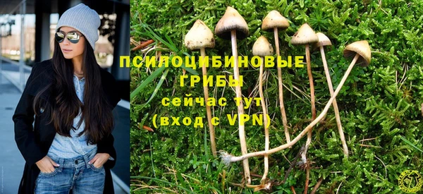 ALPHA PVP Алзамай